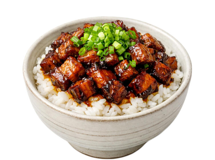 Negi Chashu Rice